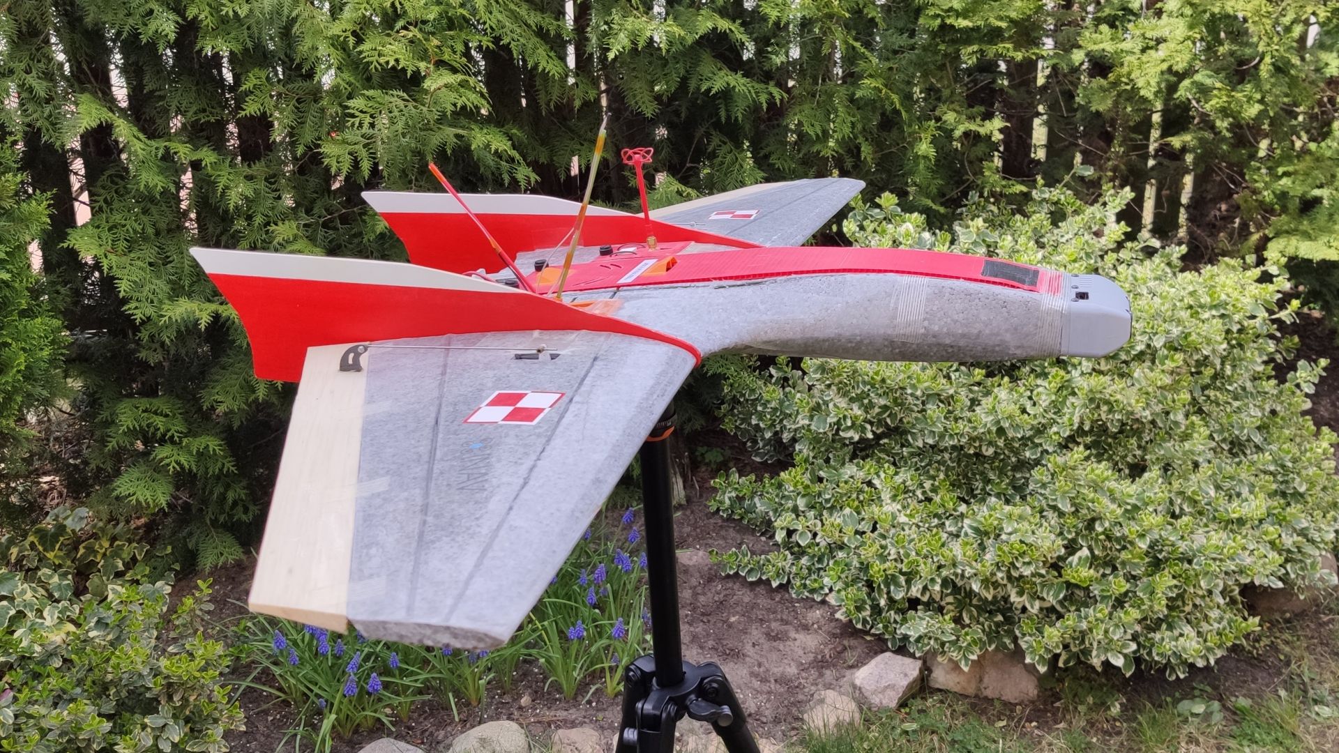 Ritewing Mini Drak